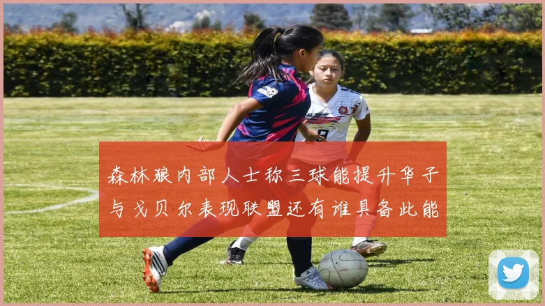 森林狼内部人士称三球能提升华子与戈贝尔表现联盟还有谁具备此能力